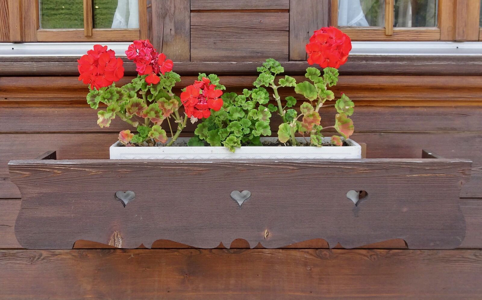 Sony Cyber-shot DSC-HX90V sample photo. Flowers, decoration, house photography