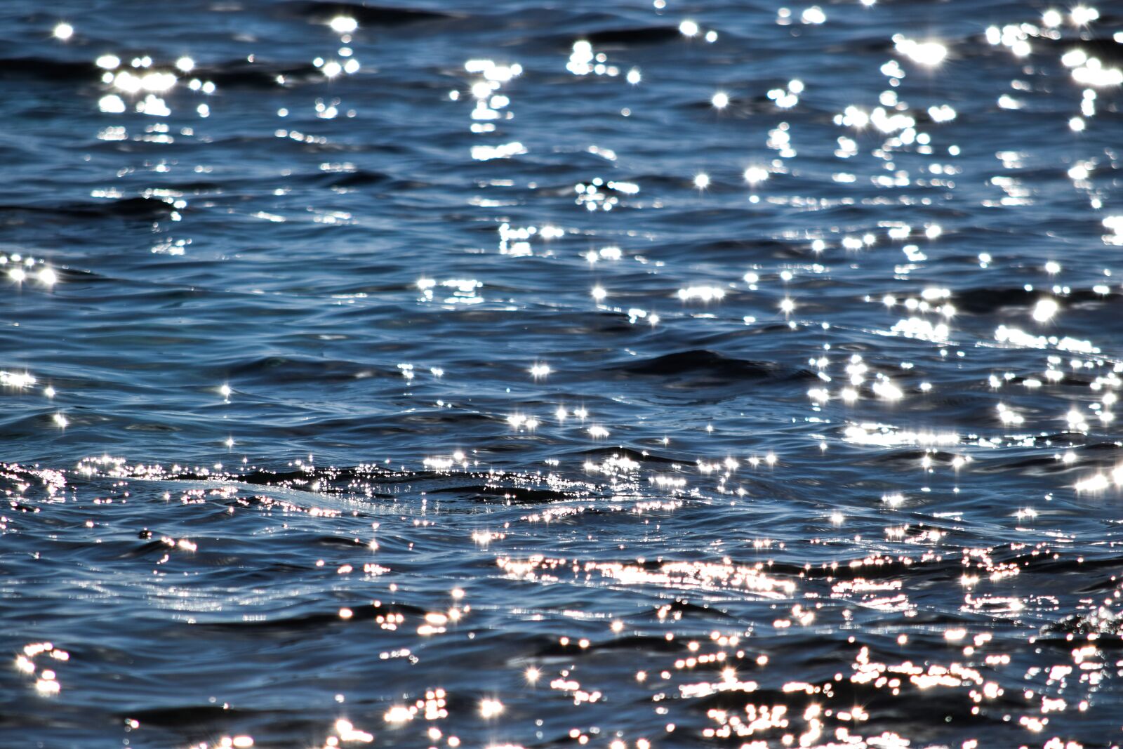 Nikon D3300 sample photo. Water, reflection, nature photography