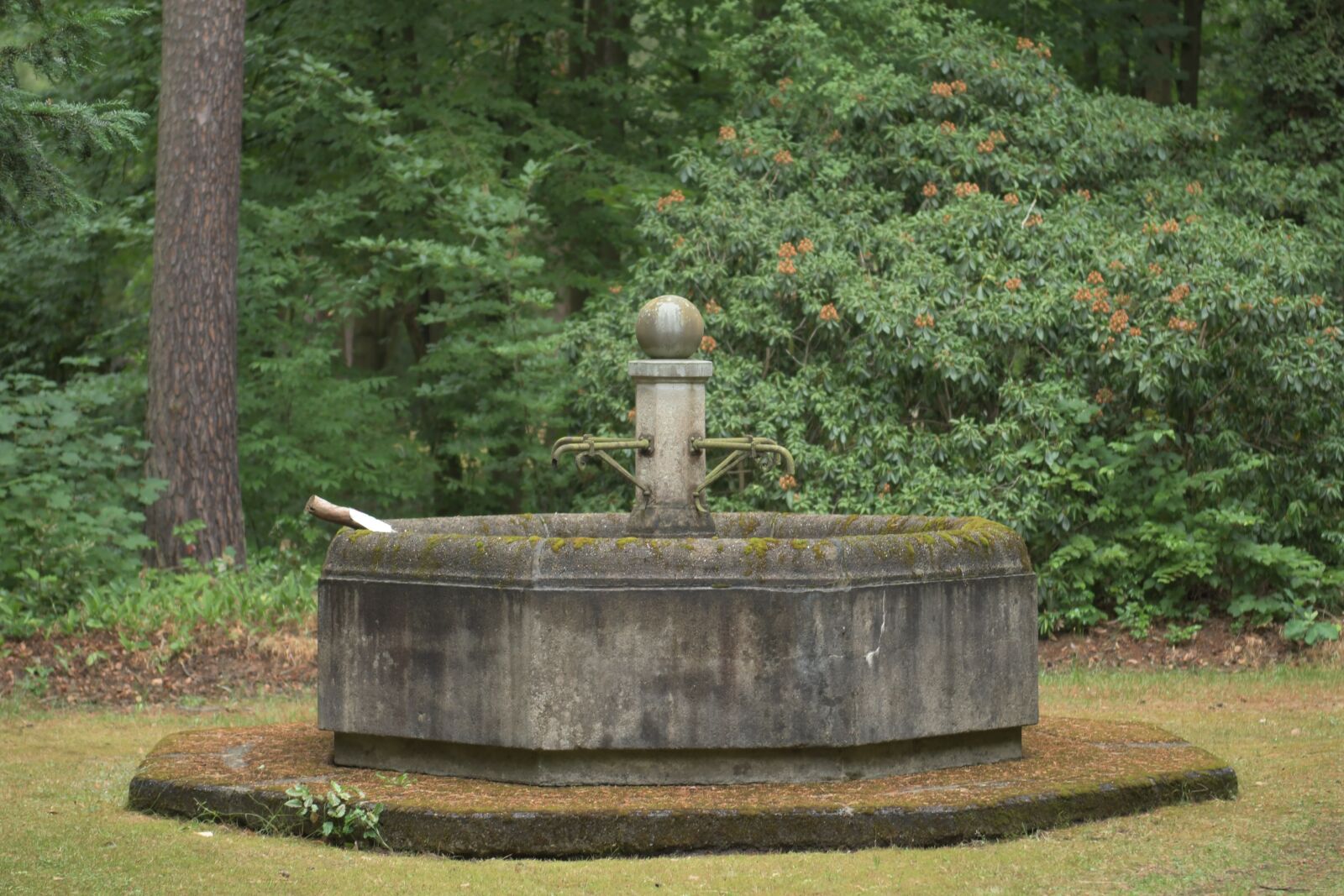 Nikon D500 sample photo. Cemetery, stone, tomb photography