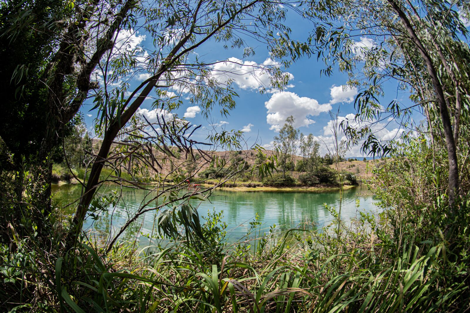 Nikon D5600 sample photo. Gondava, park, dinosaurs photography