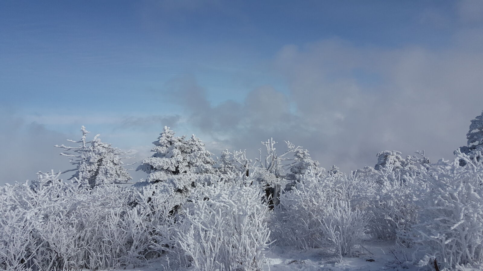 Samsung Galaxy Note5 sample photo. Korea, mountain, taebaeksan, winter photography