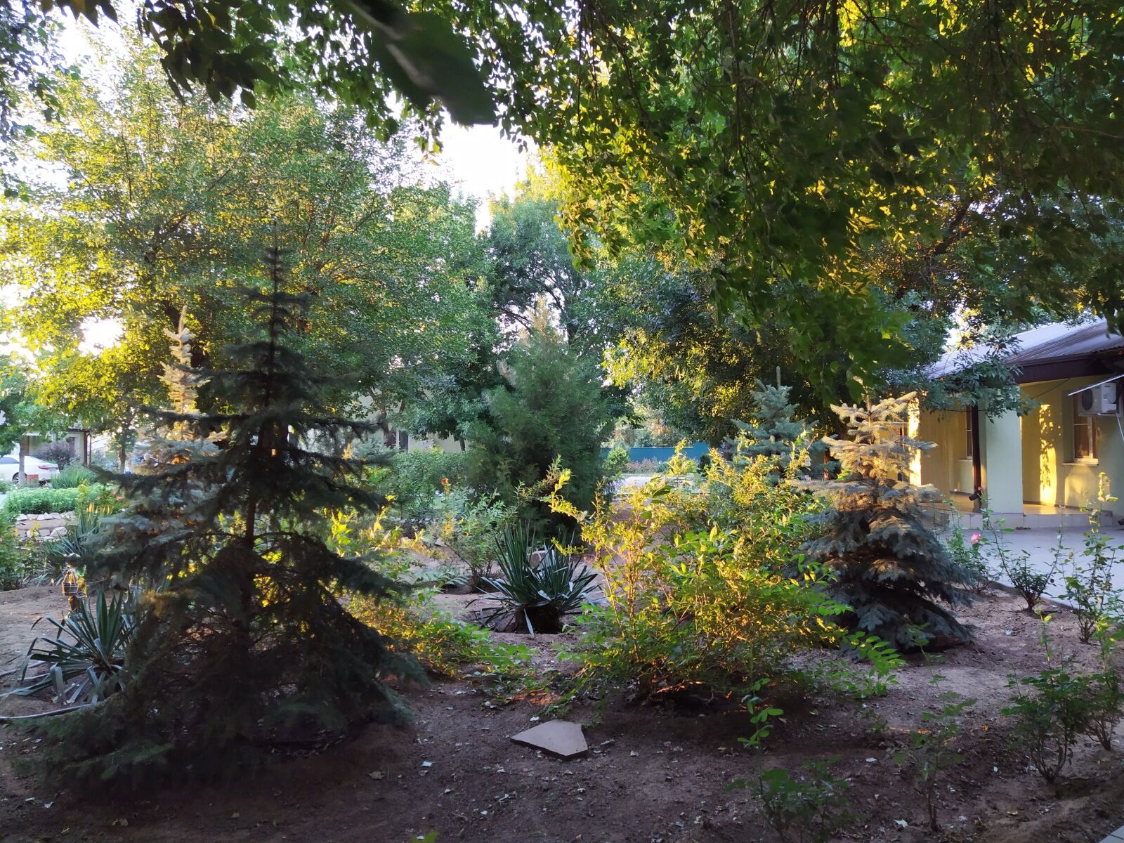 Xiaomi Redmi Note 7 sample photo. Garden, infield, trees photography