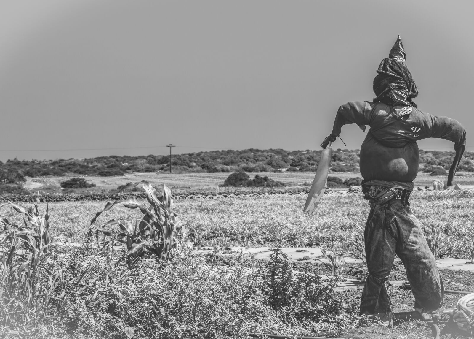 Nikon D3300 sample photo. Scarecrow, field, figure photography