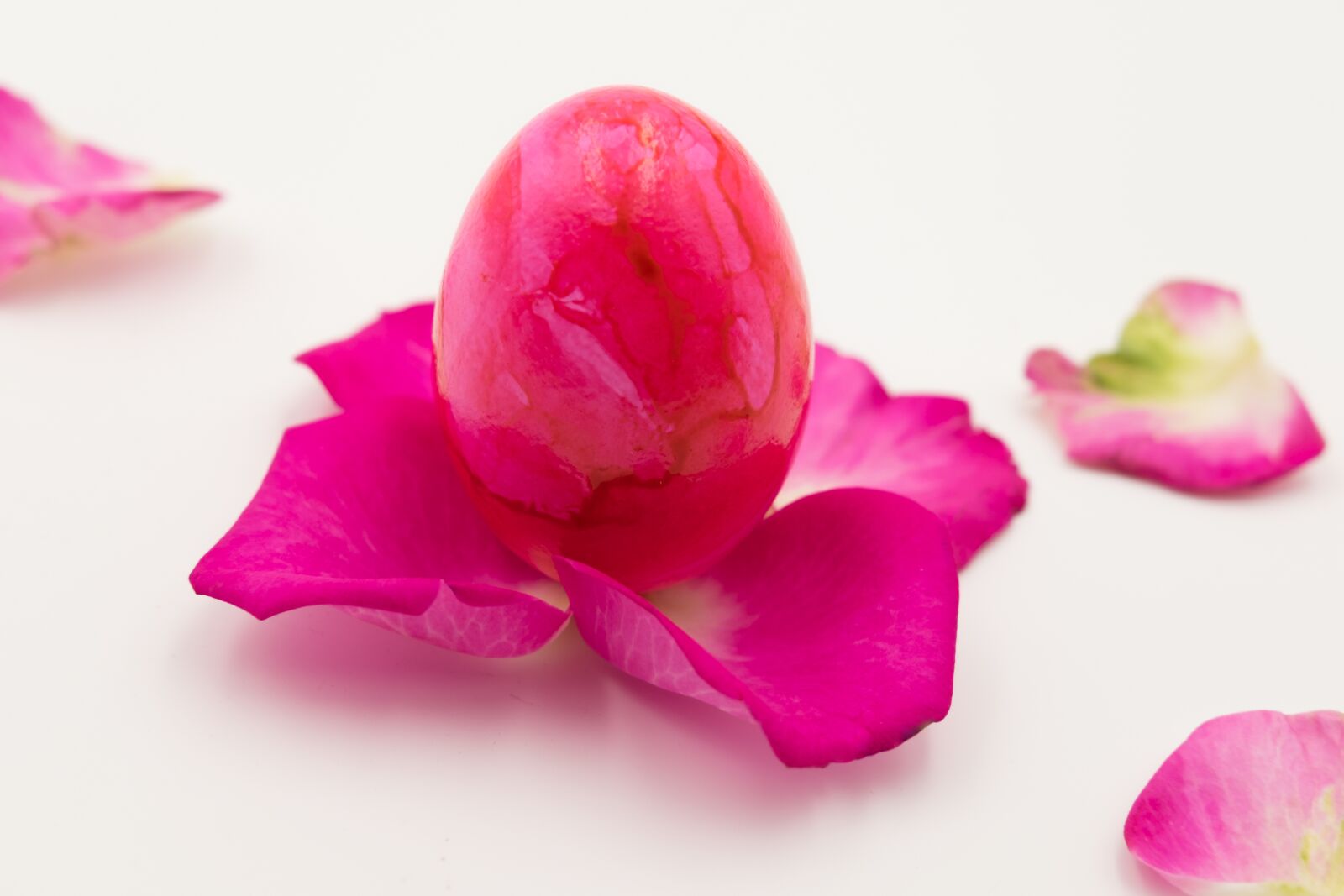 Fujifilm X-T2 + Fujifilm XF 35mm F2 R WR sample photo. Egg, easter egg, easter photography