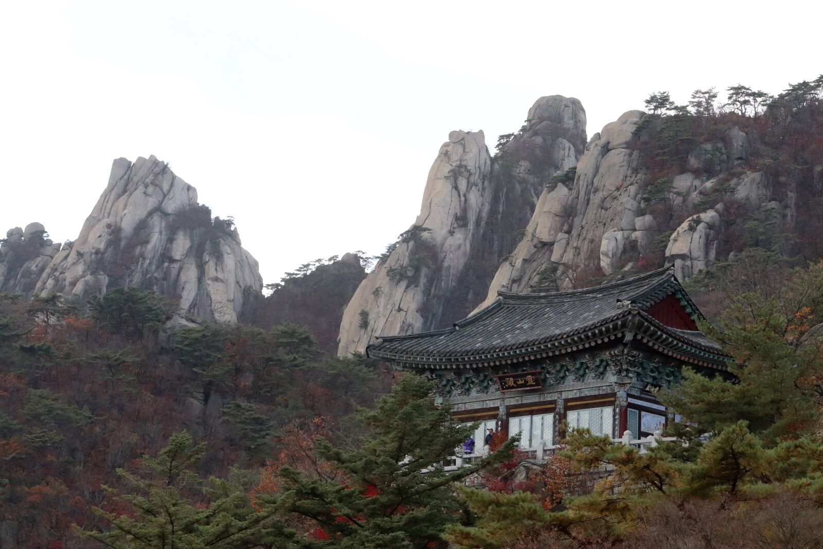 Canon EF 70-200mm F2.8L USM sample photo. Retina month company, seoul photography