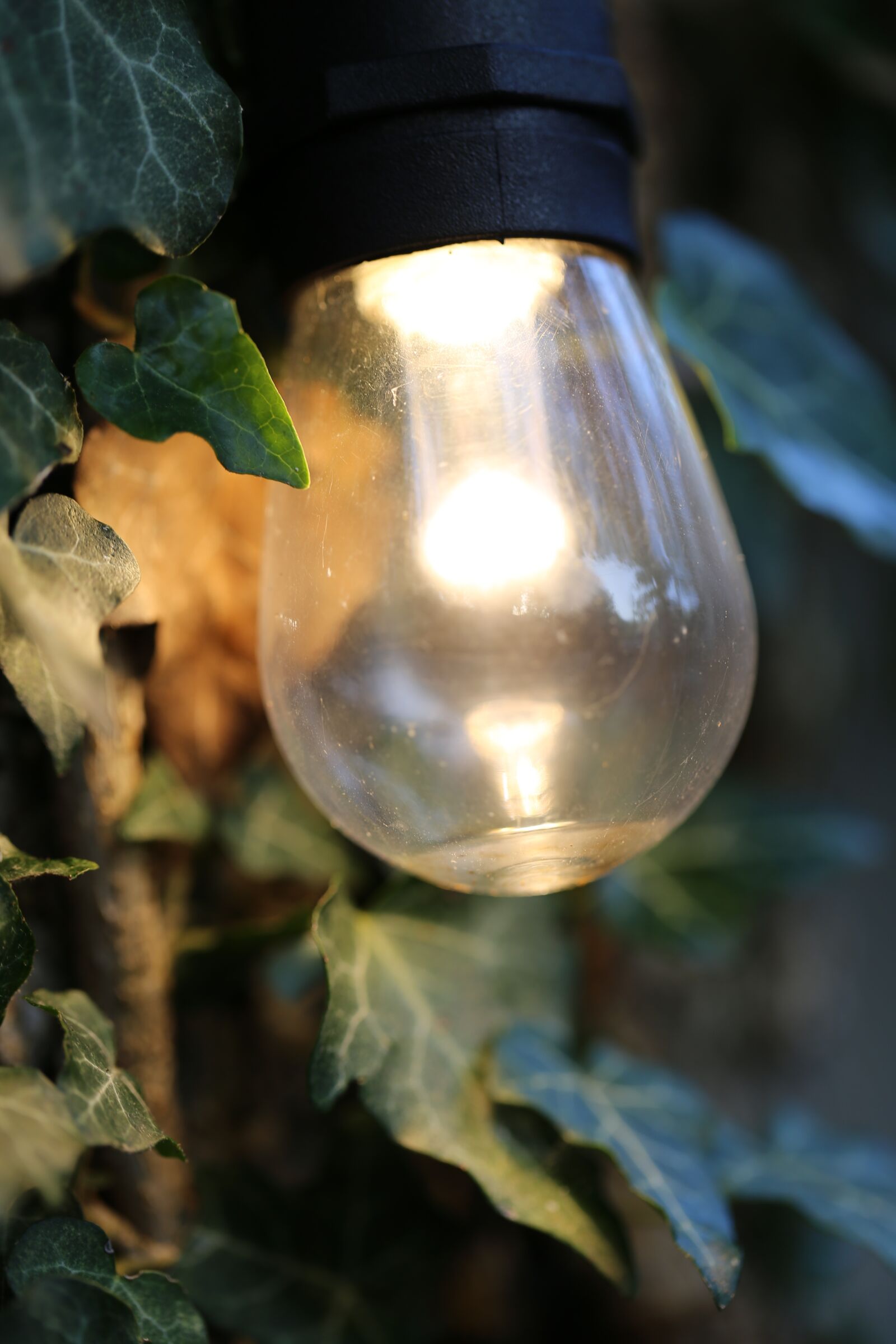 Canon EF 100mm F2.8L Macro IS USM sample photo. Light, idea, energy photography