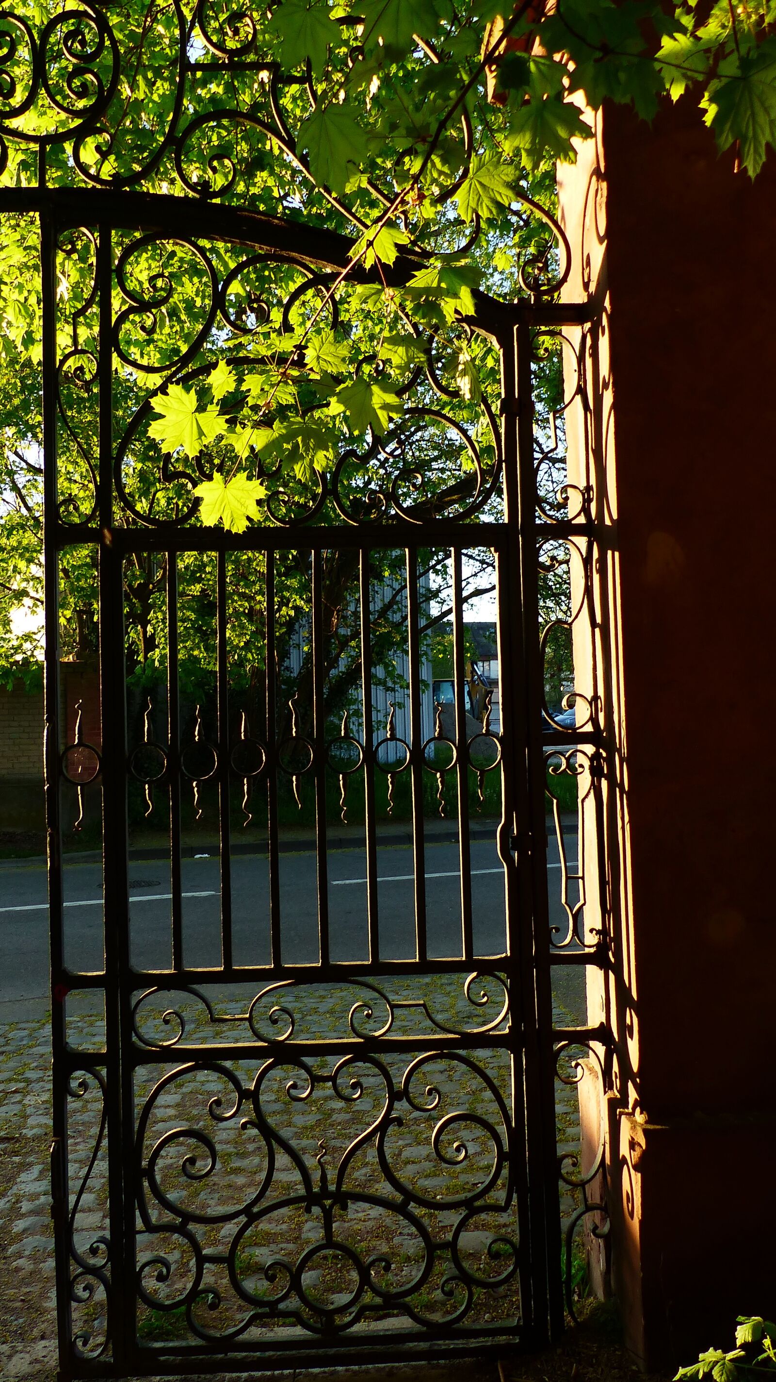 Panasonic Lumix DMC-FZ200 sample photo. Iron, door, at the photography