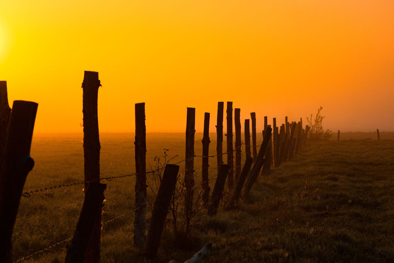 Canon EOS 700D (EOS Rebel T5i / EOS Kiss X7i) sample photo. Field, meadow, fencing photography