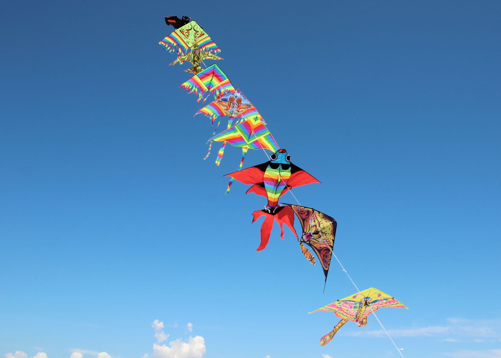 Canon EOS 600D (Rebel EOS T3i / EOS Kiss X5) sample photo. Dragons, toys, sky photography
