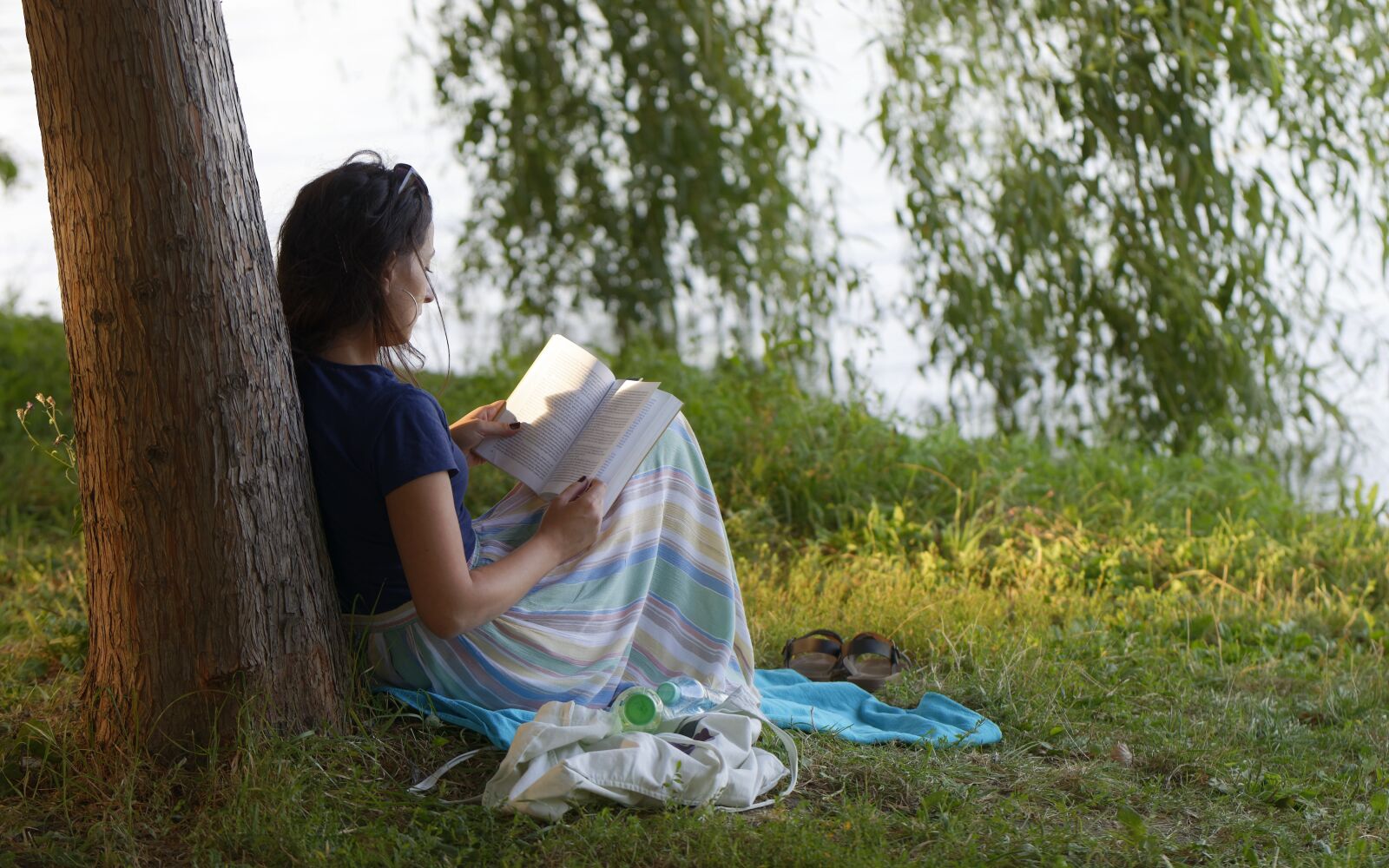 Nikon D5300 sample photo. Woman, reading, meadow photography