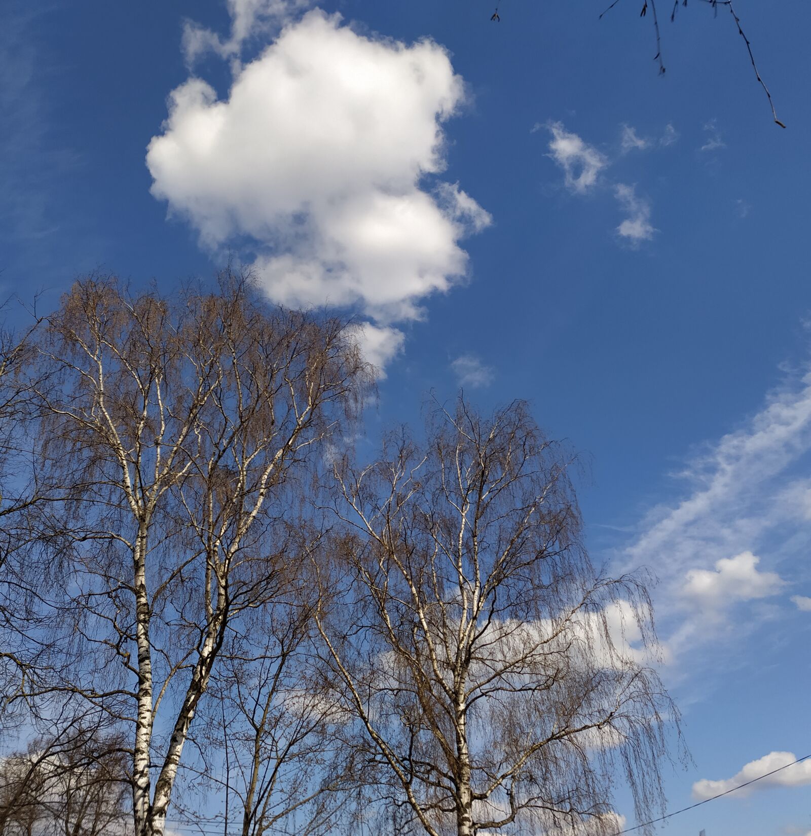 Xiaomi Redmi Note 8T sample photo. Spring, sky, blue photography