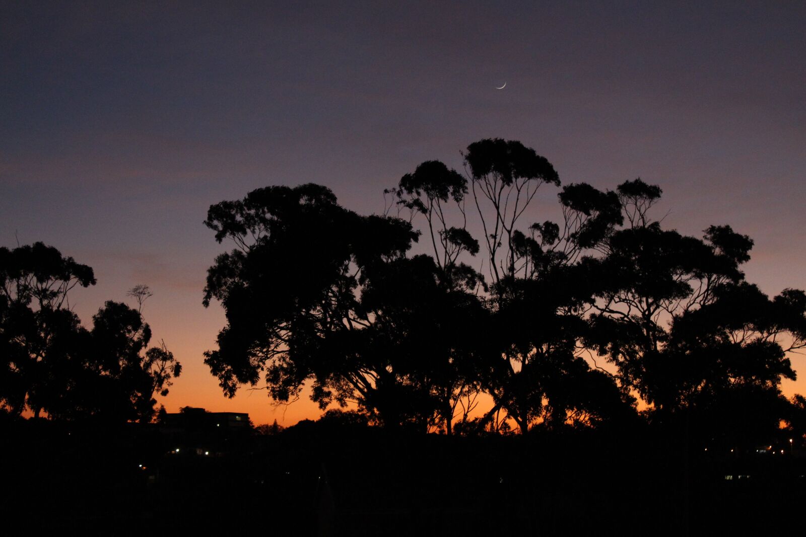 Canon EOS 650D (EOS Rebel T4i / EOS Kiss X6i) sample photo. Morning, sunrise, dawn photography
