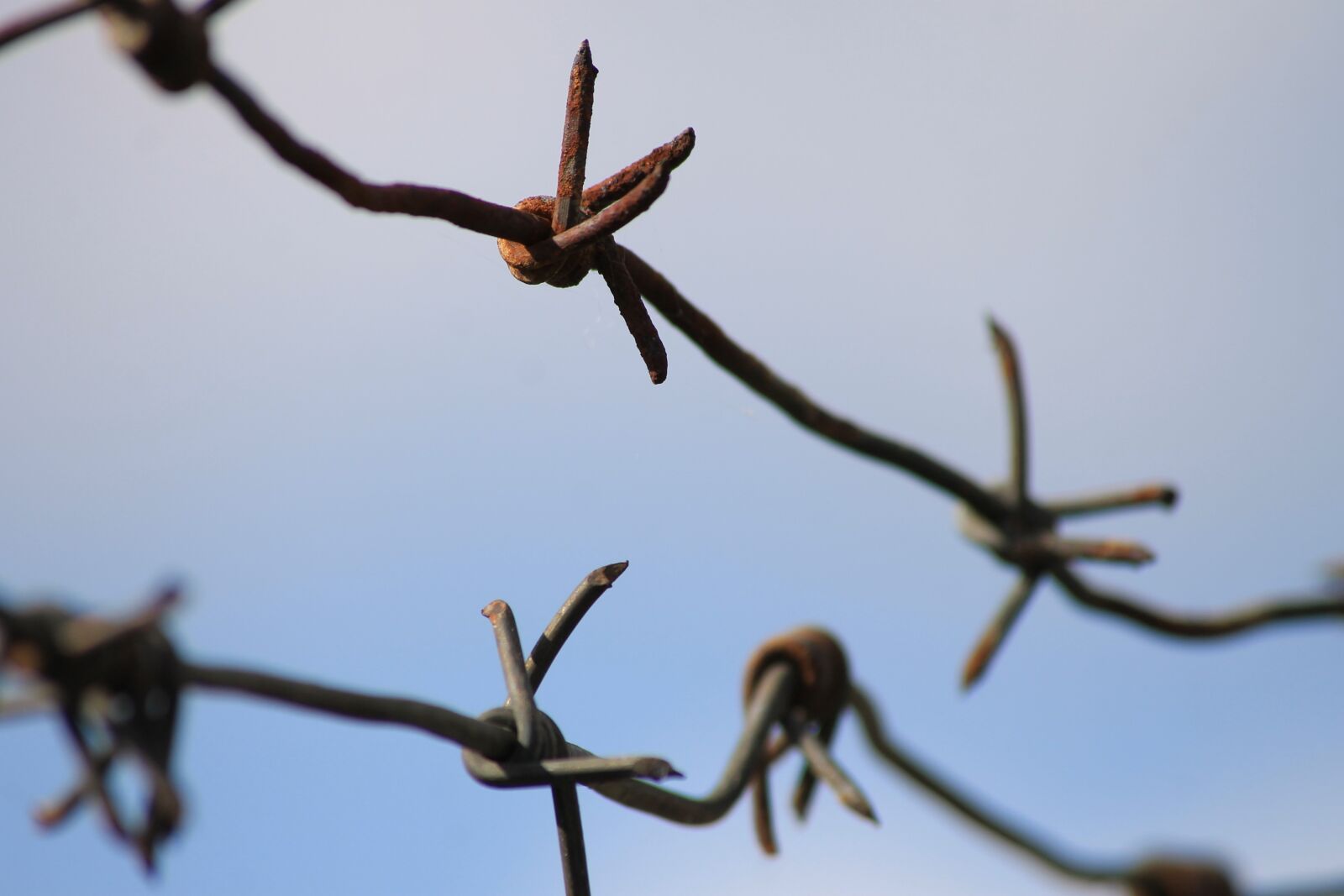 Canon EOS 1100D (EOS Rebel T3 / EOS Kiss X50) sample photo. Barbed wire fence, fence photography