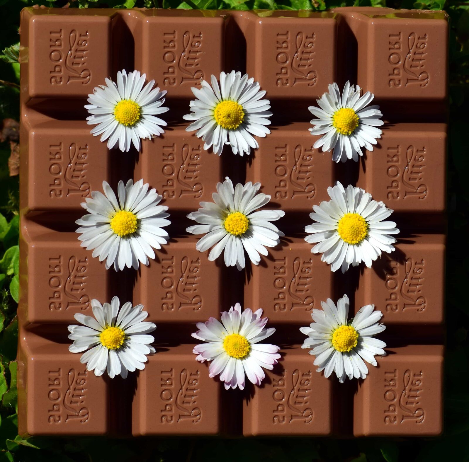 Nikon D3300 sample photo. Sugar, chocolate, candy, sweet photography