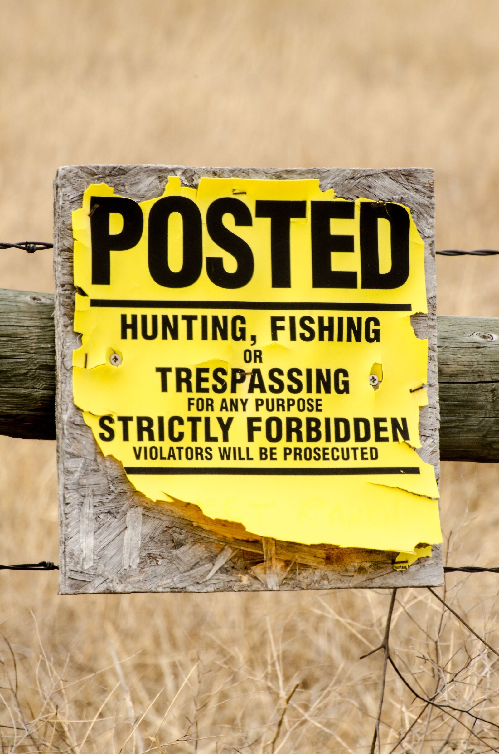Nikon D7000 sample photo. No trespassing, sign, posted photography