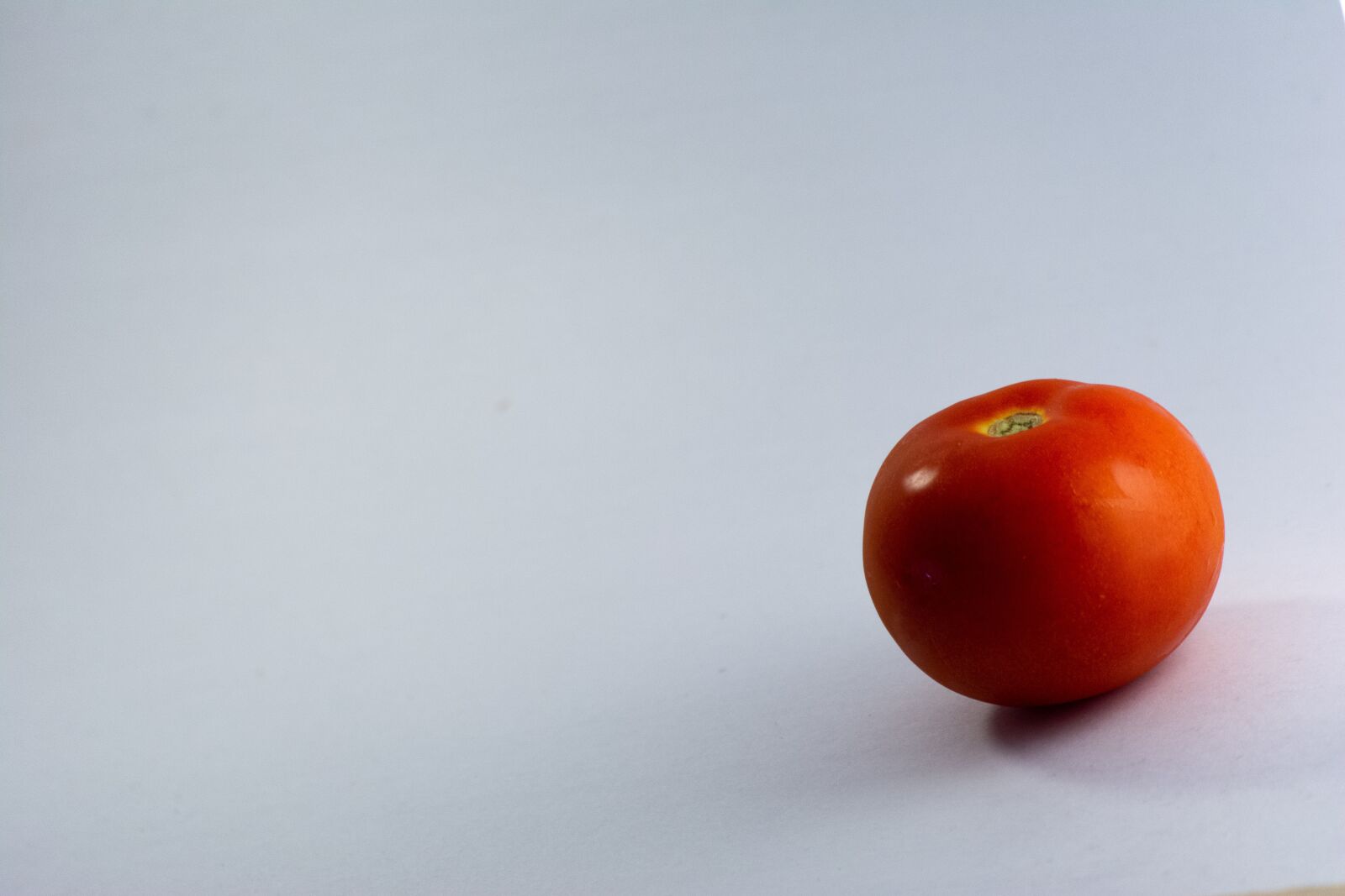 Nikon D5200 sample photo. White background, tomato, red photography