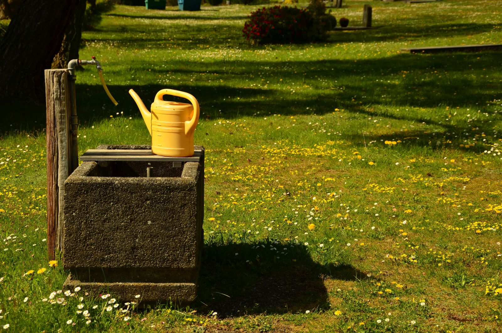 Nikon D5100 sample photo. Watering hole, cemetery, fountain photography