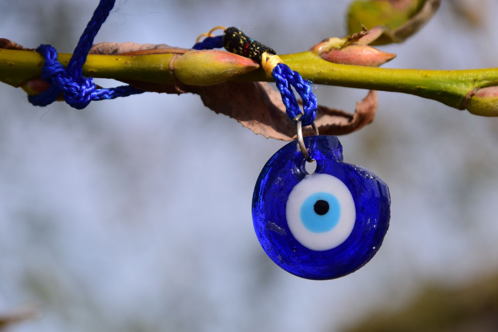Nikon D3300 sample photo. Eye, lucky charm, symbol photography