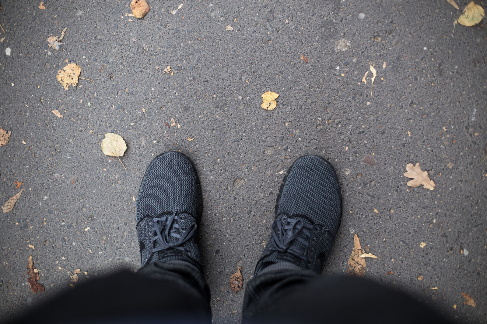 Canon EOS 6D + Canon EF 50mm F1.4 USM sample photo. Autumn, city, gdansk, janoski photography