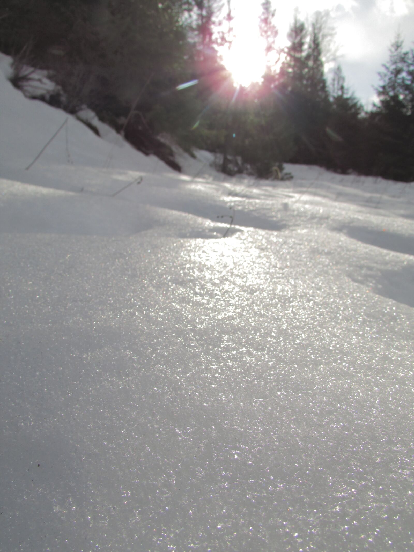 Canon PowerShot SX500 IS sample photo. Sun, snow, winter photography