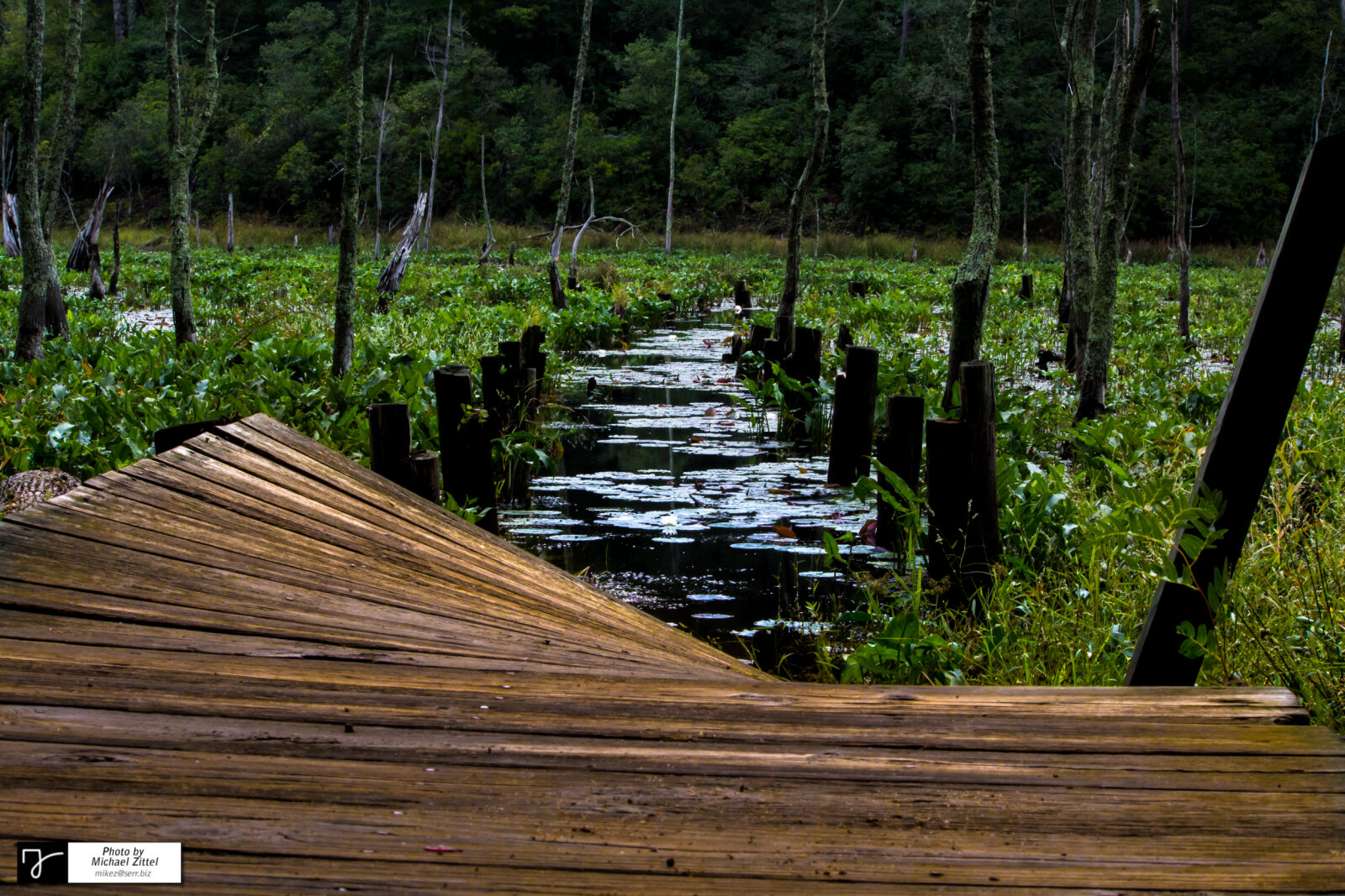 Canon EOS 600D (Rebel EOS T3i / EOS Kiss X5) sample photo. Broken, dock, marsh, swamp photography