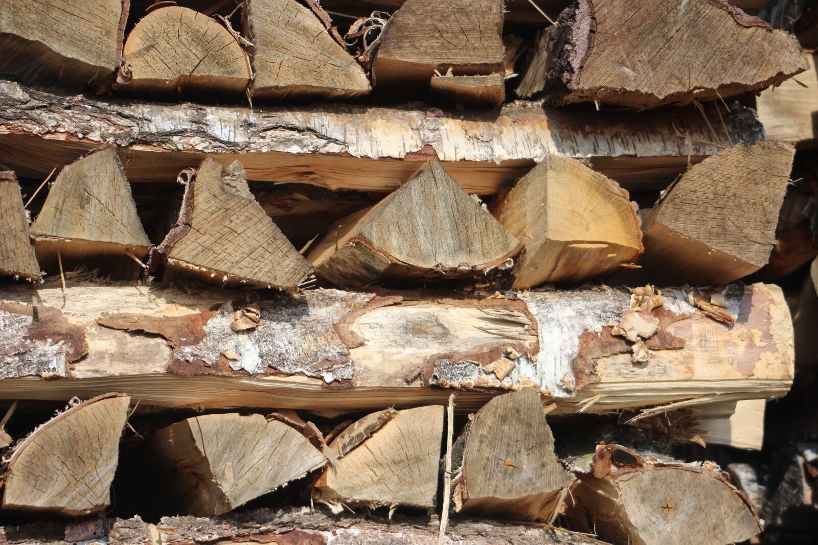 Canon EF 55-200mm F4.5-5.6 II USM sample photo. Wood, holzstapel, growing stock photography
