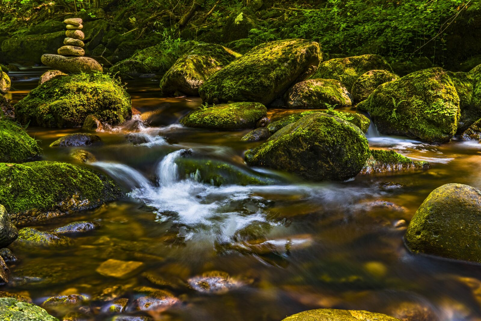 Sony a6300 + Sigma 30mm F2.8 EX DN sample photo. Water, river, nature photography