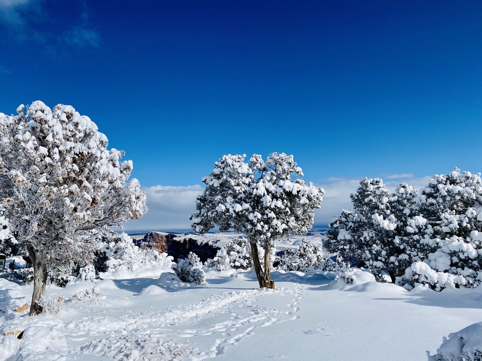 Apple iPhone 11 Pro Max sample photo. Grand canyon, ice, landscape photography
