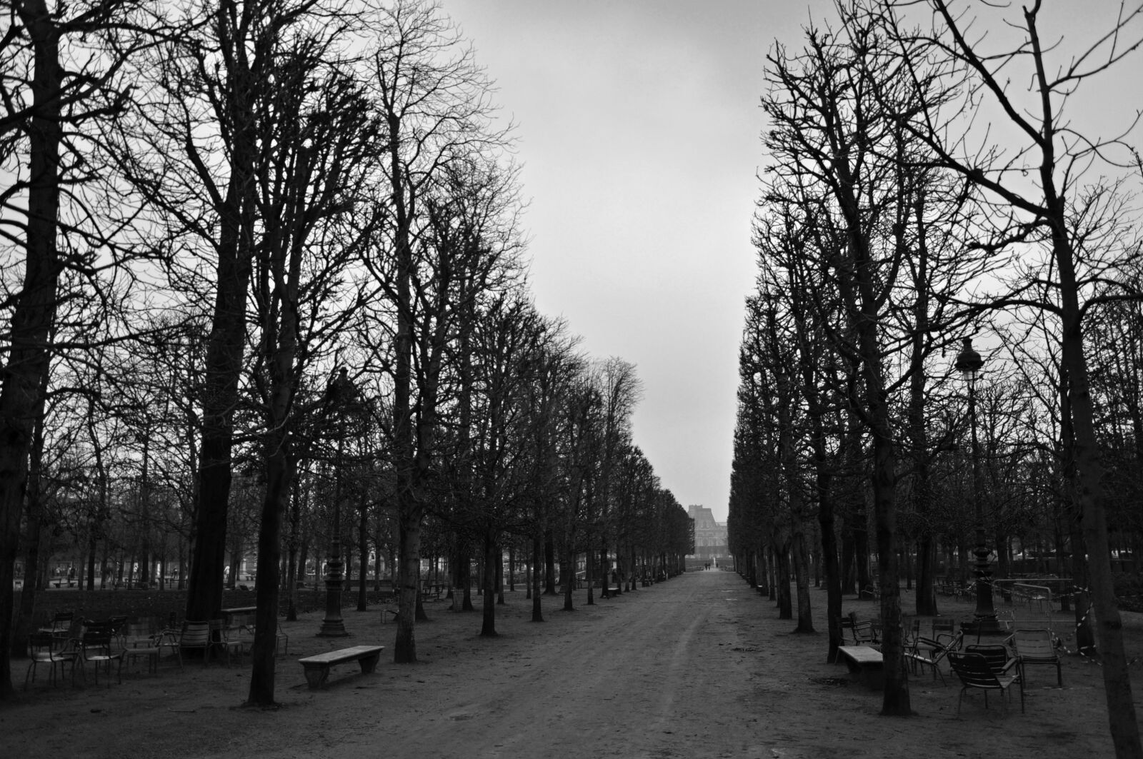 Nikon D5000 sample photo. Park, paris, tree photography