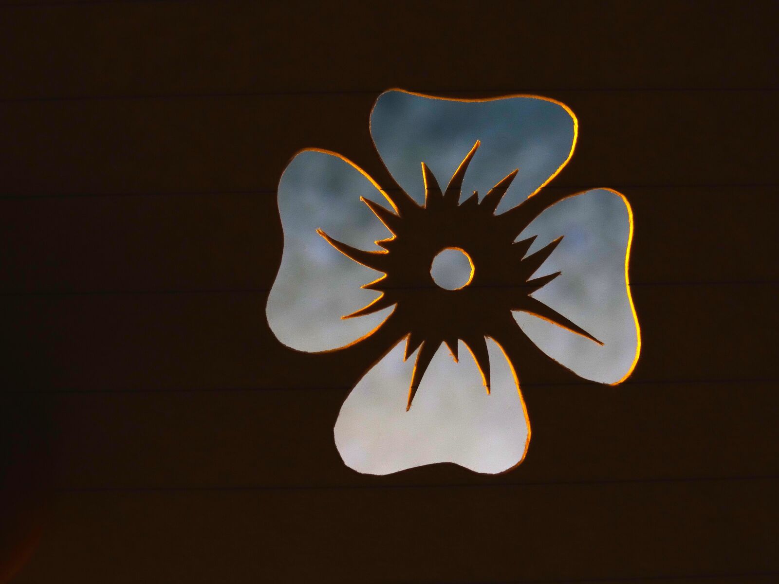 Sony Cyber-shot DSC-HX300 sample photo. Flower, light blue, contour photography
