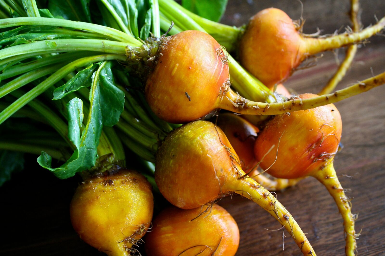 Canon EOS 1000D (EOS Digital Rebel XS / EOS Kiss F) sample photo. Beets, yellow, green photography