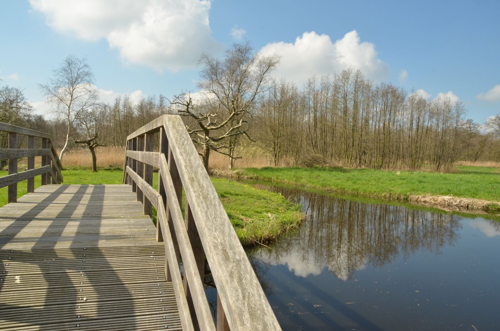 Nikon D7000 sample photo. Netherlands, nature, landscape photography