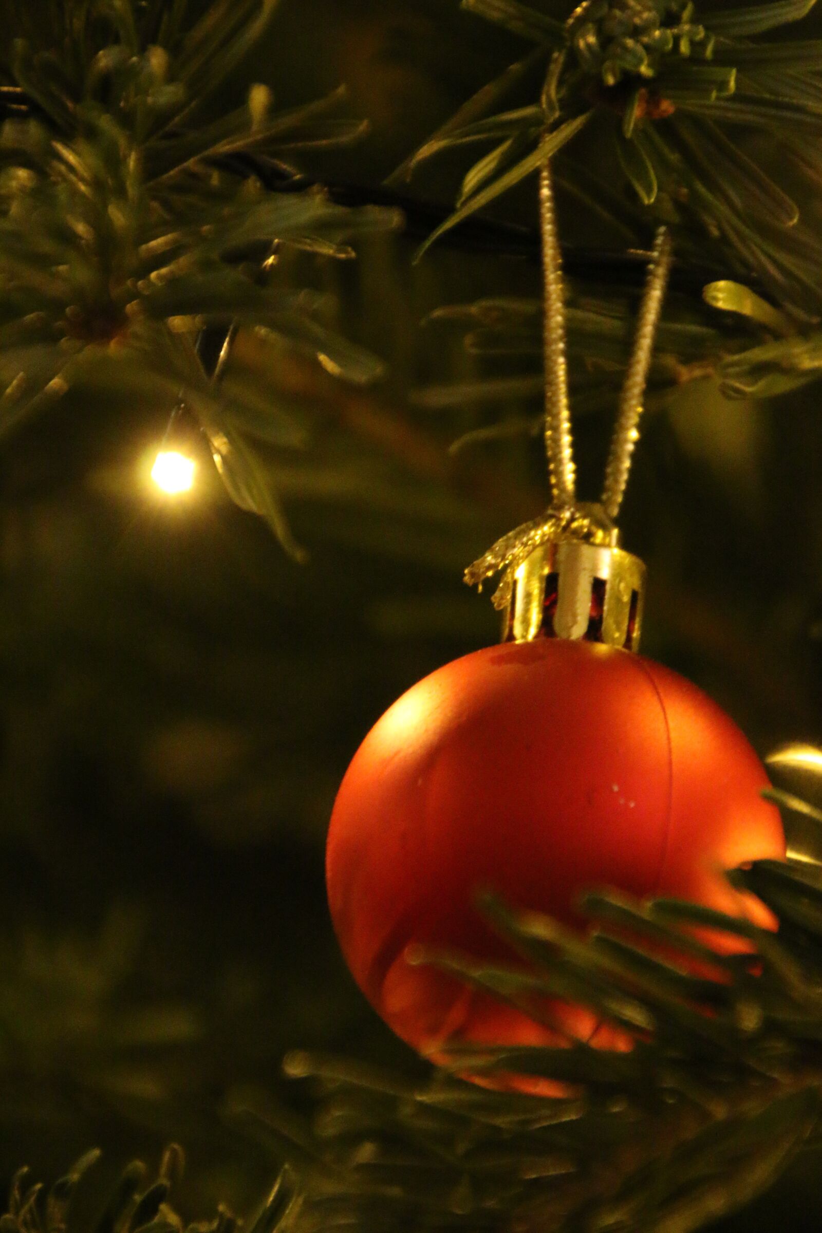 Canon EOS 70D sample photo. Christmas, bauble, decoration photography