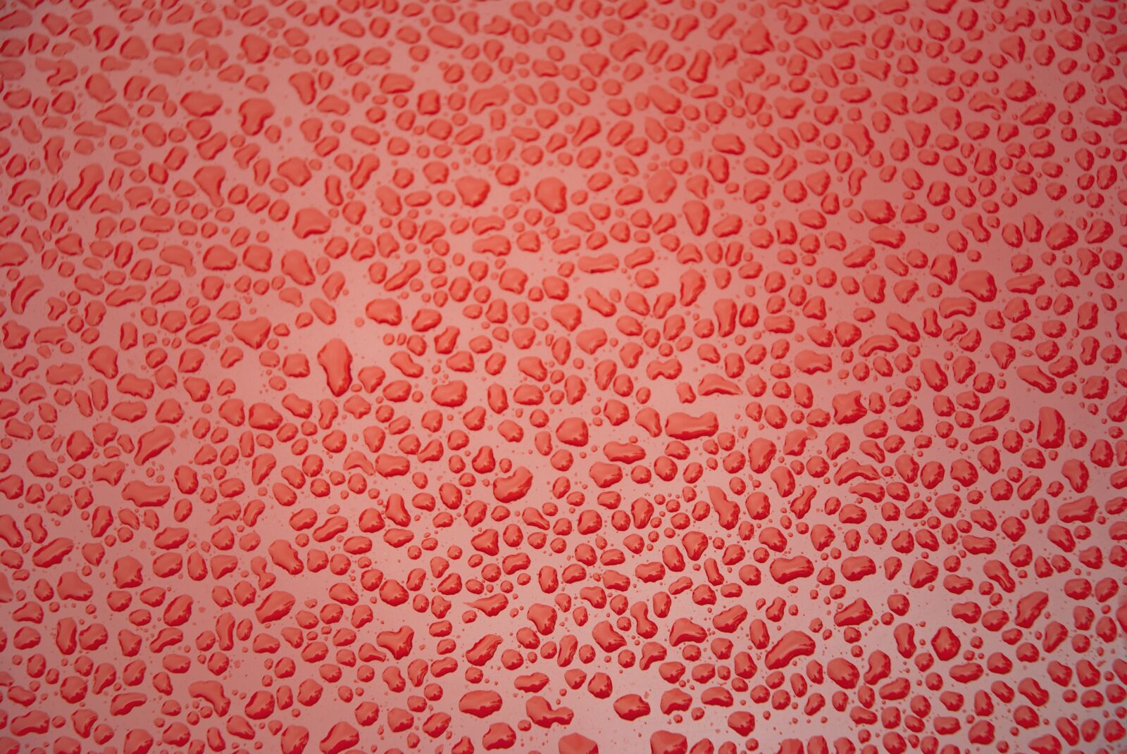 Nikon D80 sample photo. Red, water, car photography