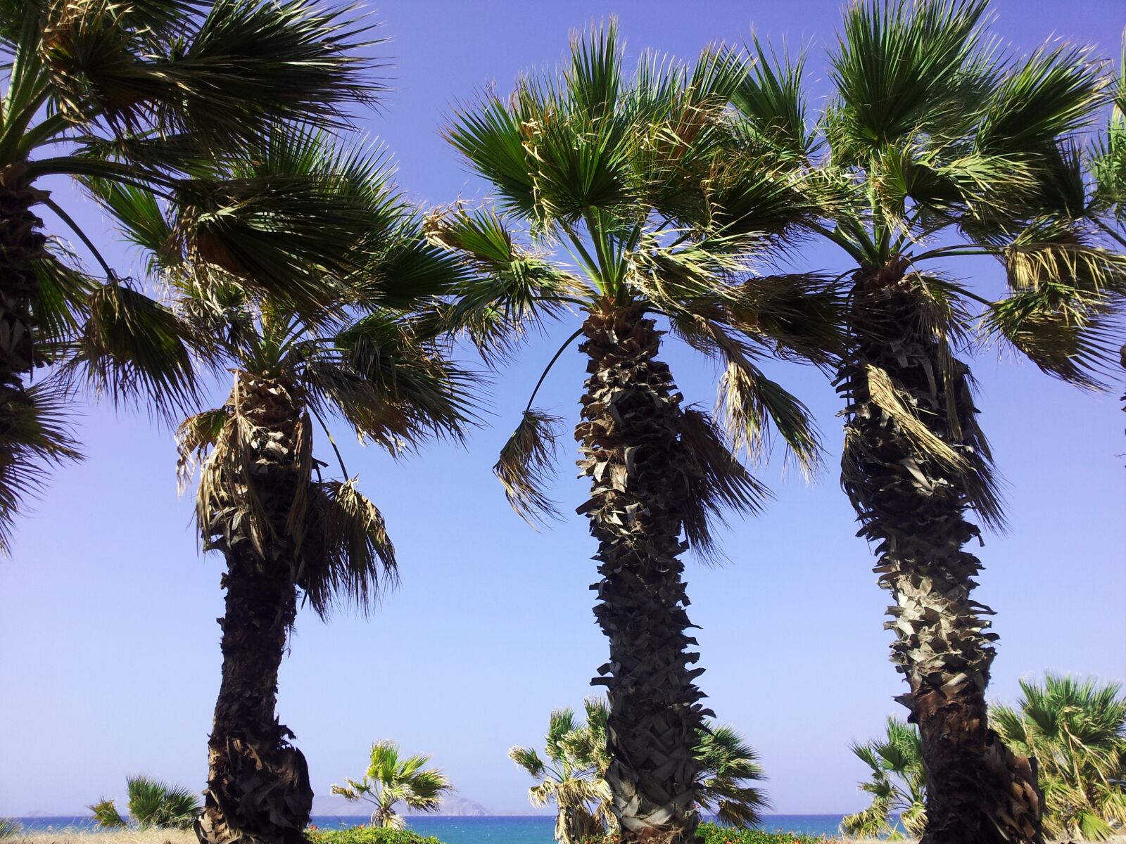 Samsung Galaxy S2 sample photo. Palma, vacation, sea photography