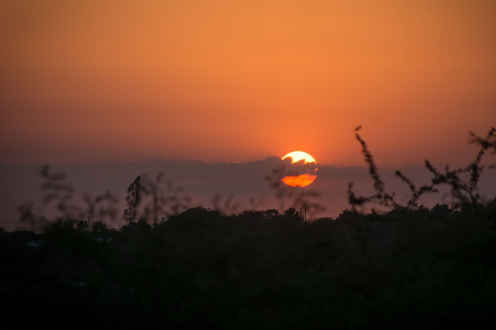 Nikon D7100 sample photo. Sunset, dawn, silhouette photography
