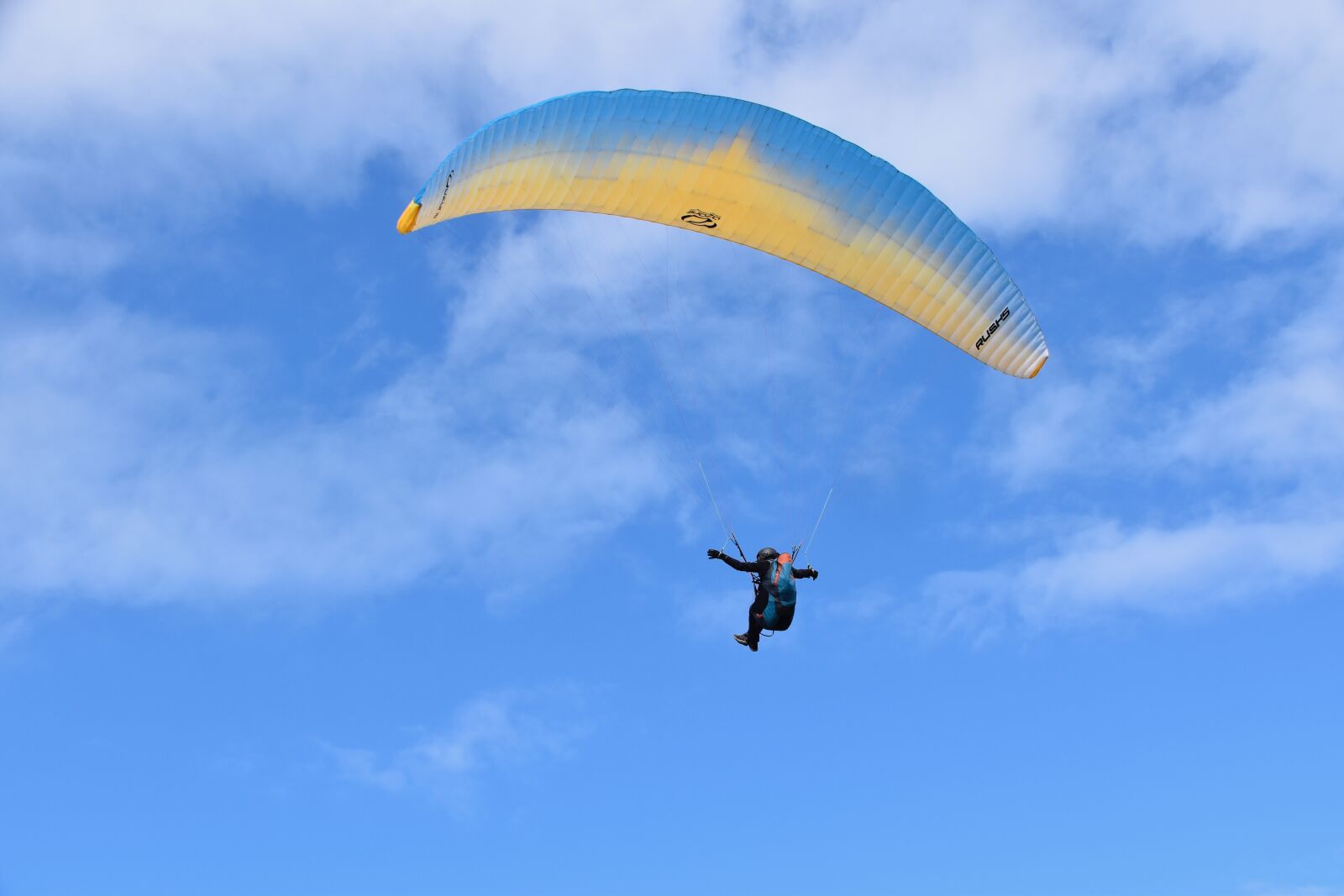 Nikon D5600 sample photo. Paragliding, paraglider, aircraft photography
