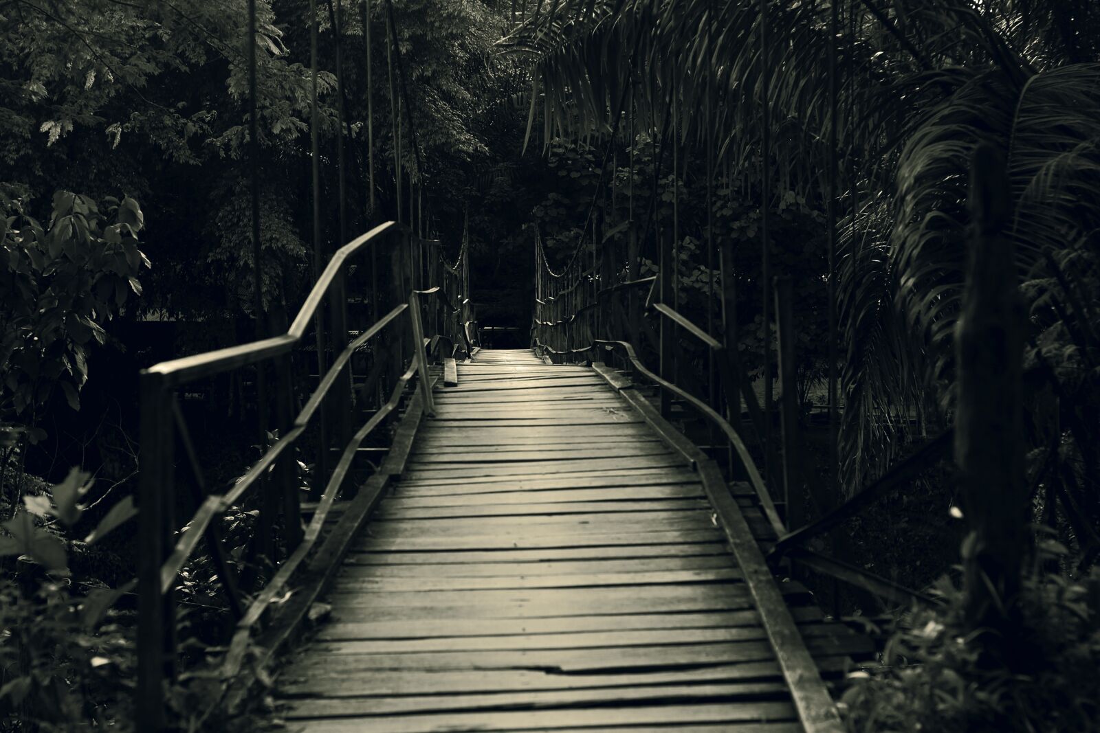 Canon EOS 650D (EOS Rebel T4i / EOS Kiss X6i) sample photo. Bridge, river, the tree photography