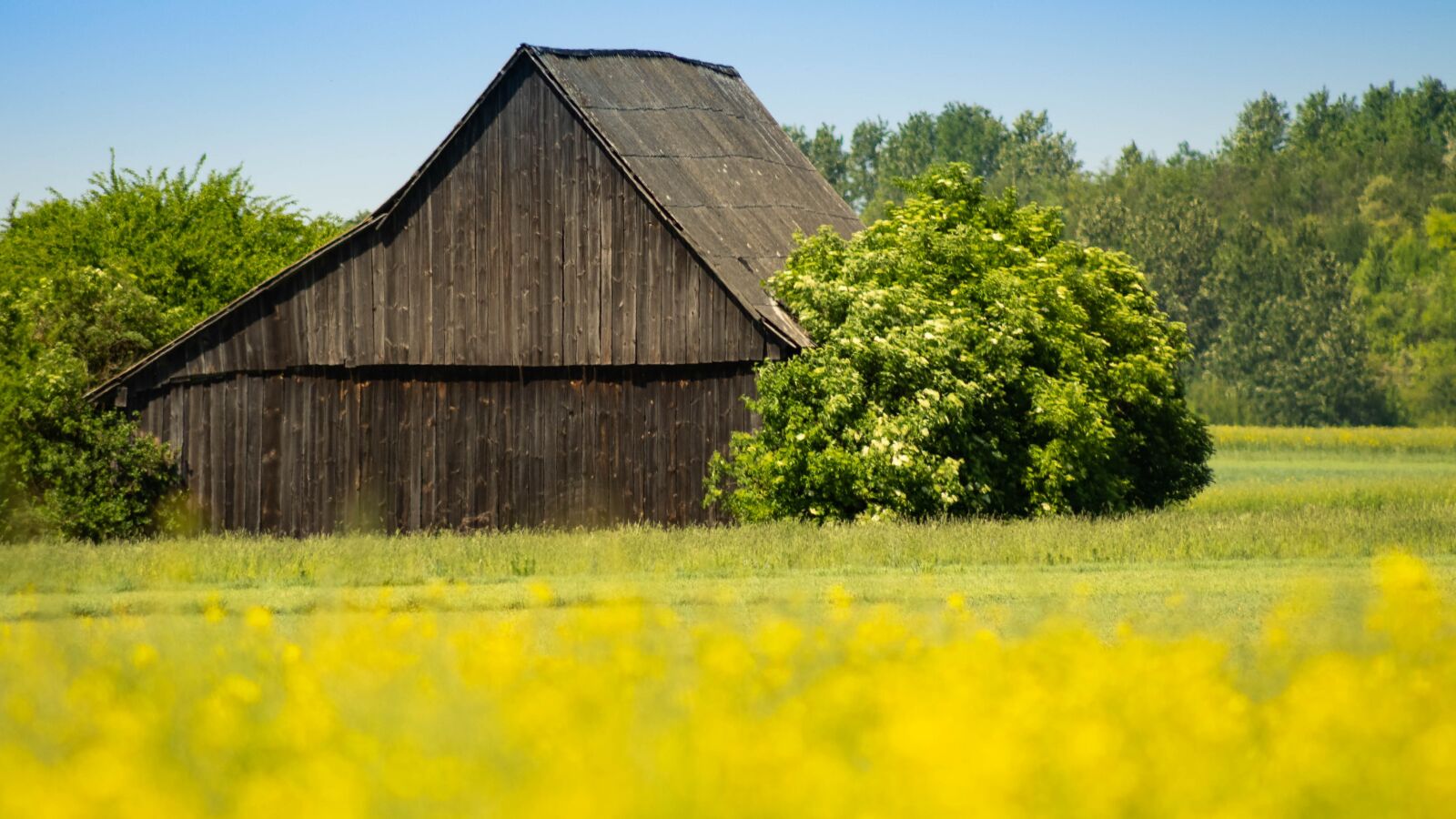 Canon EF75-300mm f/4-5.6 sample photo. Shed, barn, old house photography