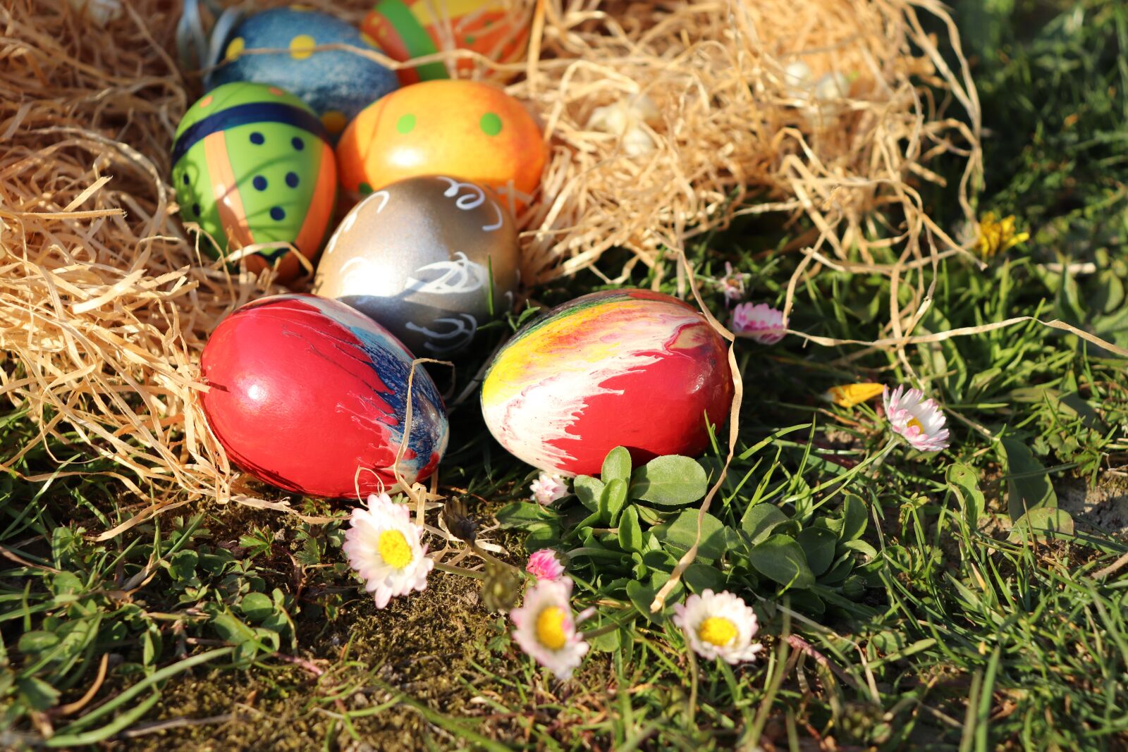 Canon EOS 800D (EOS Rebel T7i / EOS Kiss X9i) sample photo. Easter, easter eggs, colorful photography
