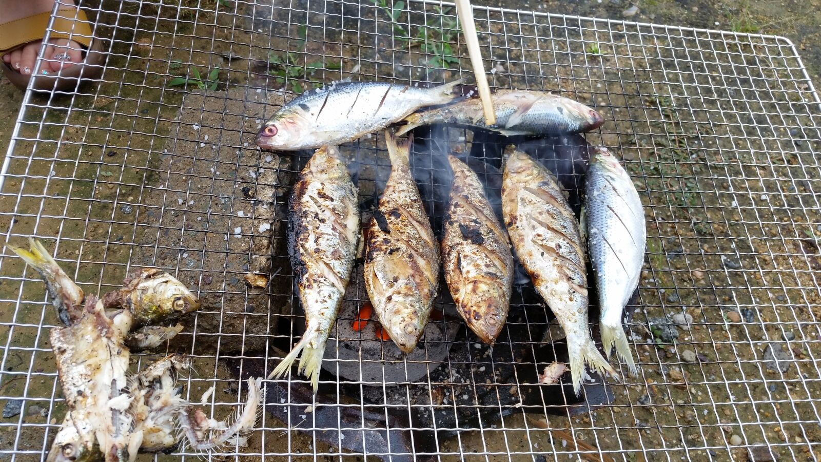 Samsung Galaxy S5 sample photo. Grilled, fish, food photography