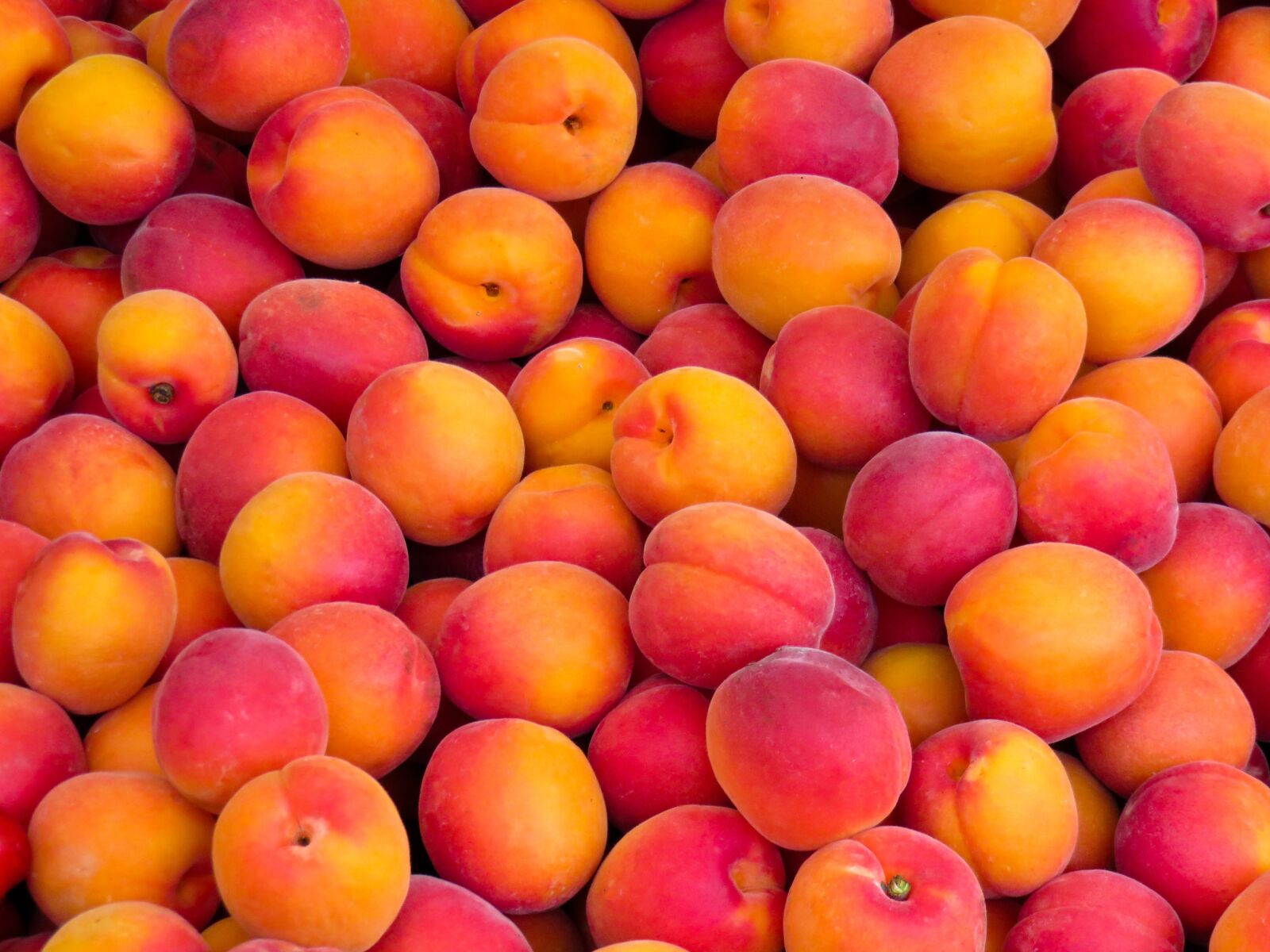 Canon PowerShot SX710 HS sample photo. Eat, drink, fruit photography