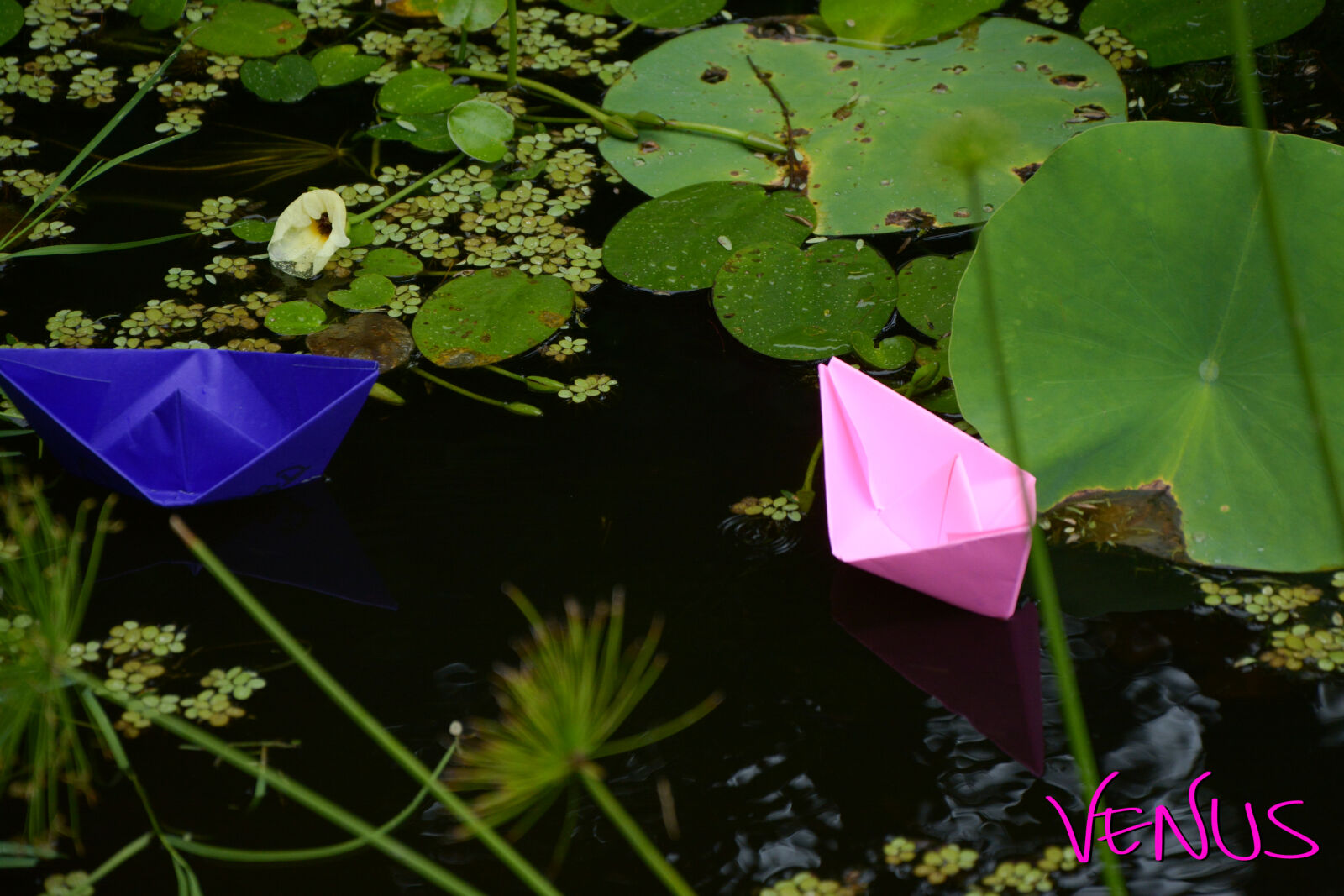 Nikon D7100 sample photo