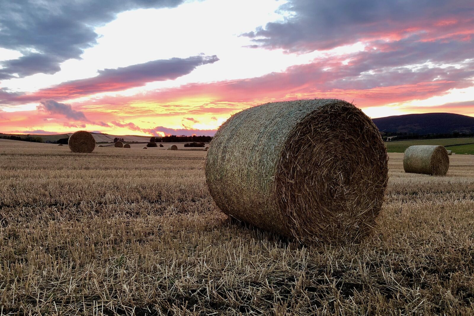 iPhone X back camera 4mm f/1.8 sample photo. Sunset, evening sun, hay photography