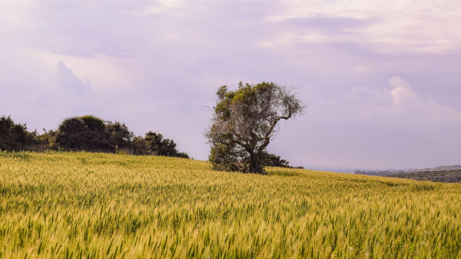 Nikon D3300 sample photo. Nature, field, landscape photography