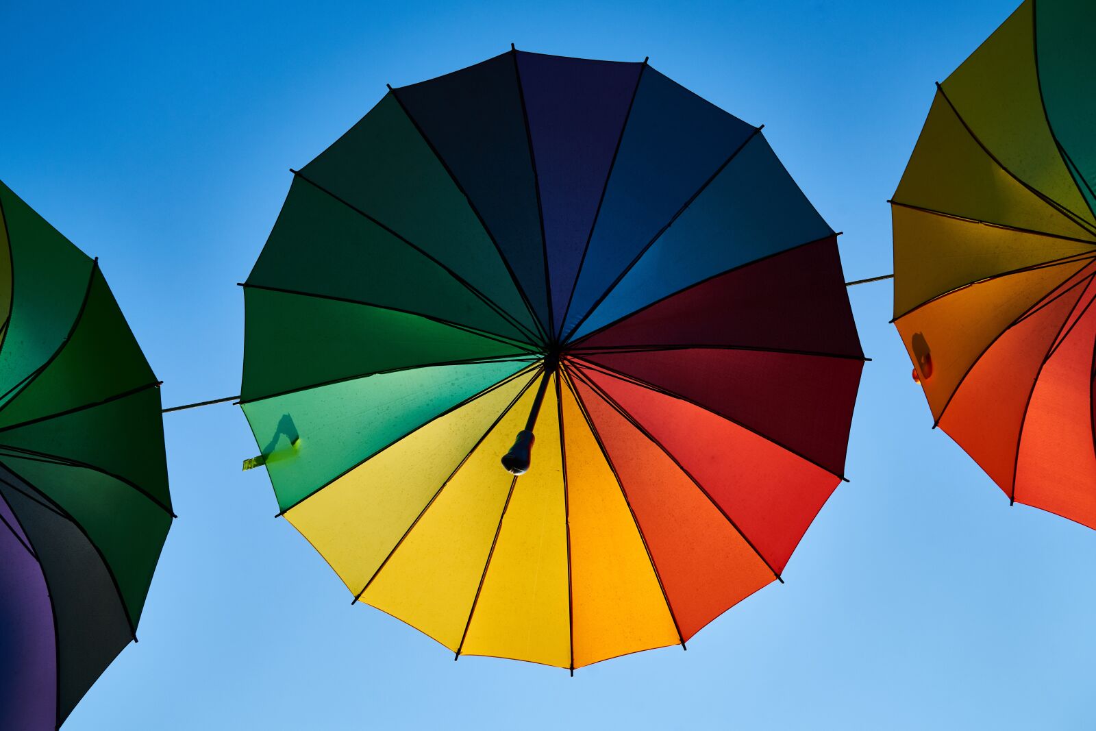 Sony a7R II sample photo. Umbrella, color, beautiful photography
