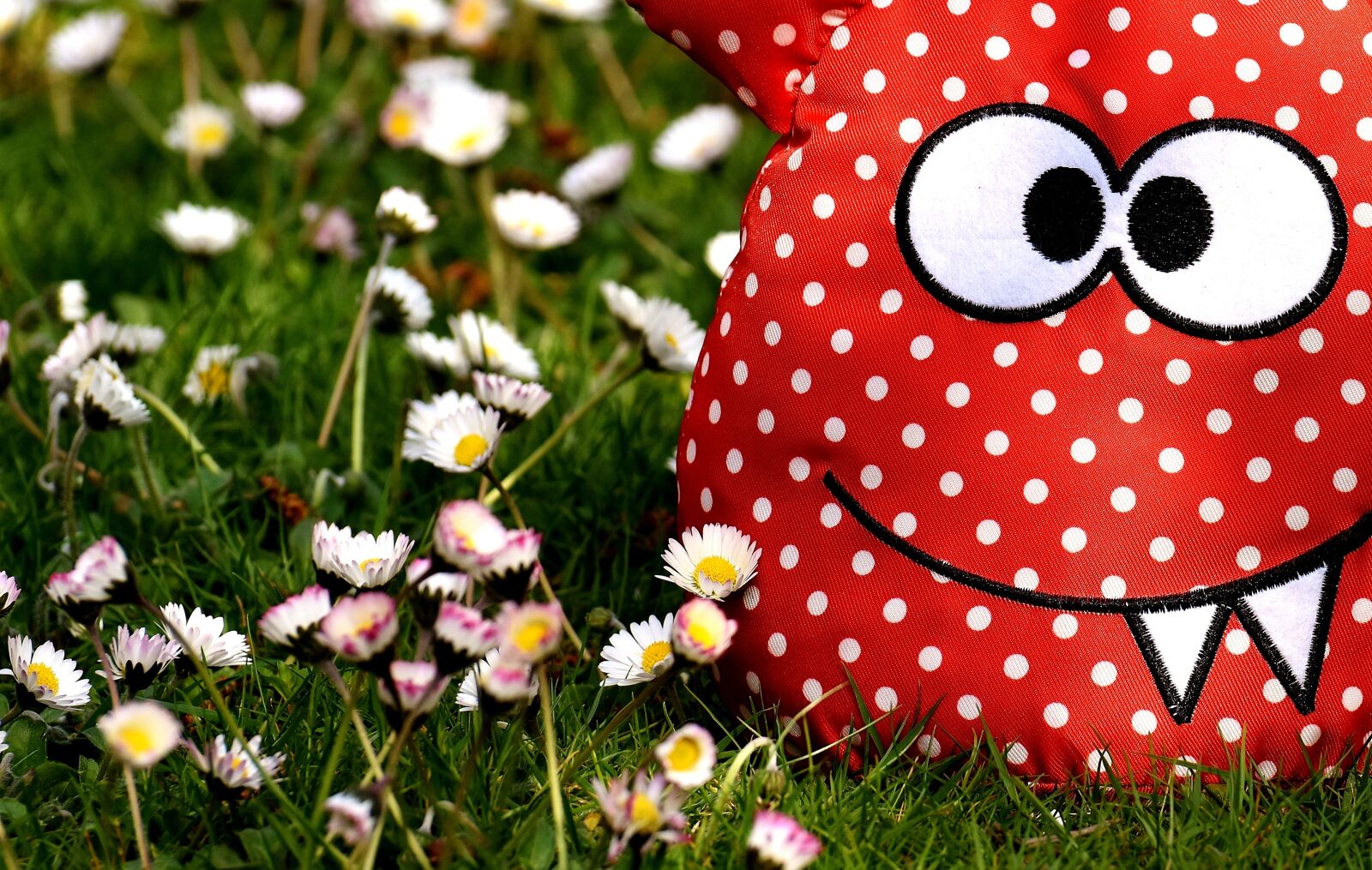Nikon D7200 sample photo. Monster, fabric, meadow photography