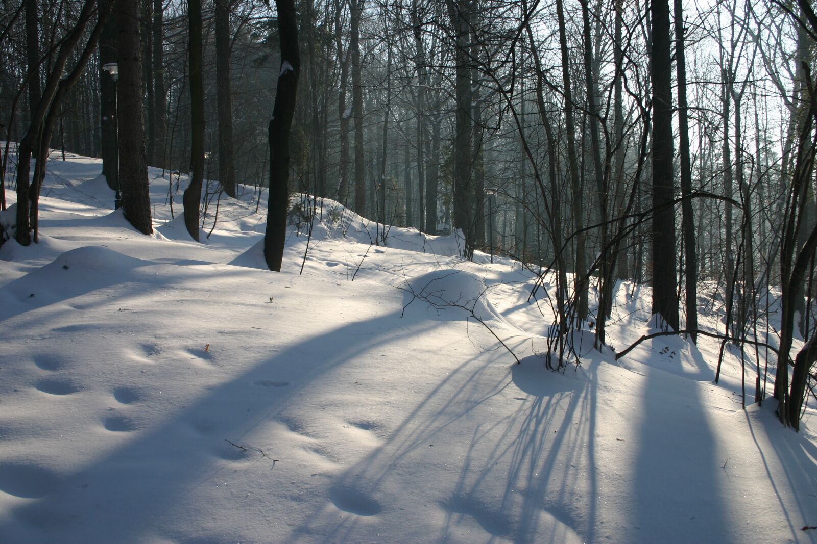 Canon EOS 300D (EOS Digital Rebel / EOS Kiss Digital) sample photo. Winter, mountains, snow photography