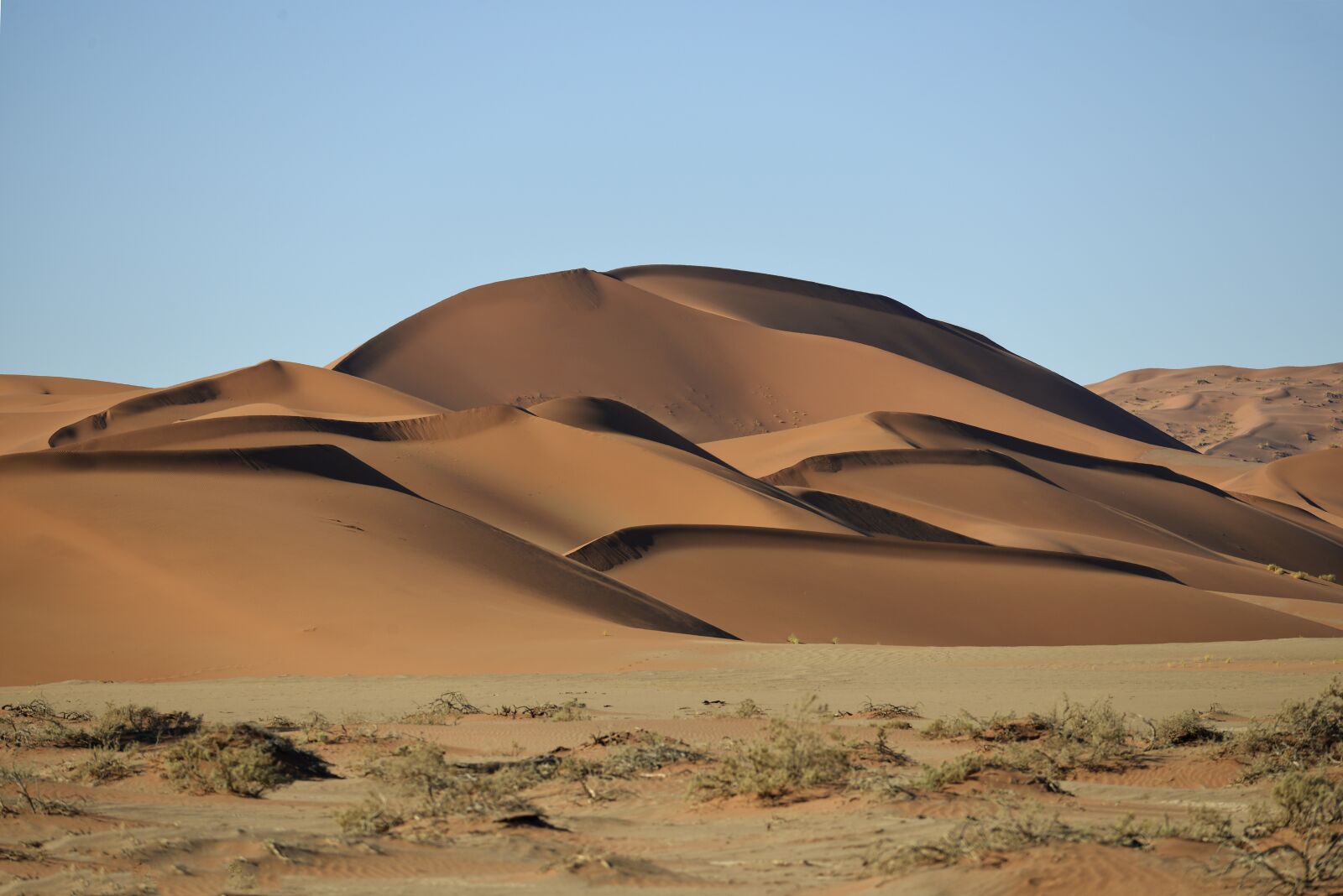 Nikon D800 sample photo. Nabibia, desert, nabib photography