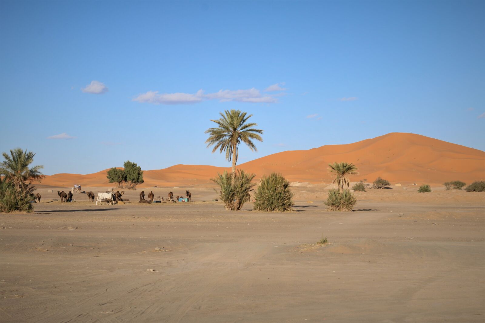 Canon EOS 70D + Canon EF 24-70mm F4L IS USM sample photo. Desert, africa, sahara photography